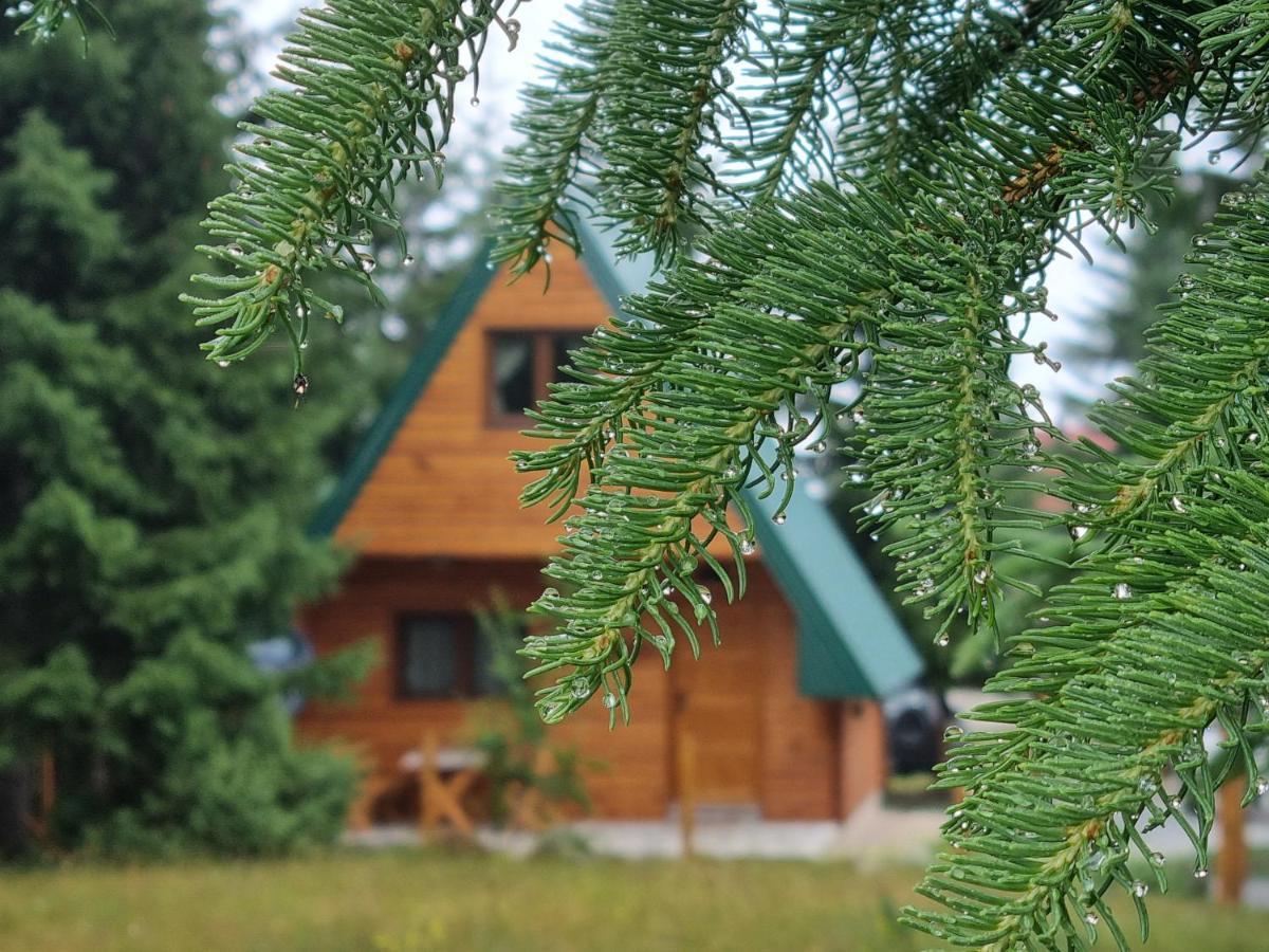 Hedonist Village Žabljak Eksteriør billede